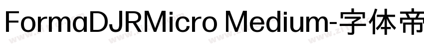 FormaDJRMicro Medium字体转换